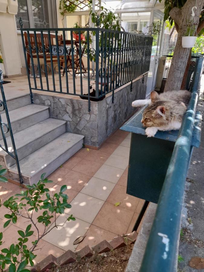 Friendly Philoxenia Daire İskeçe Dış mekan fotoğraf
