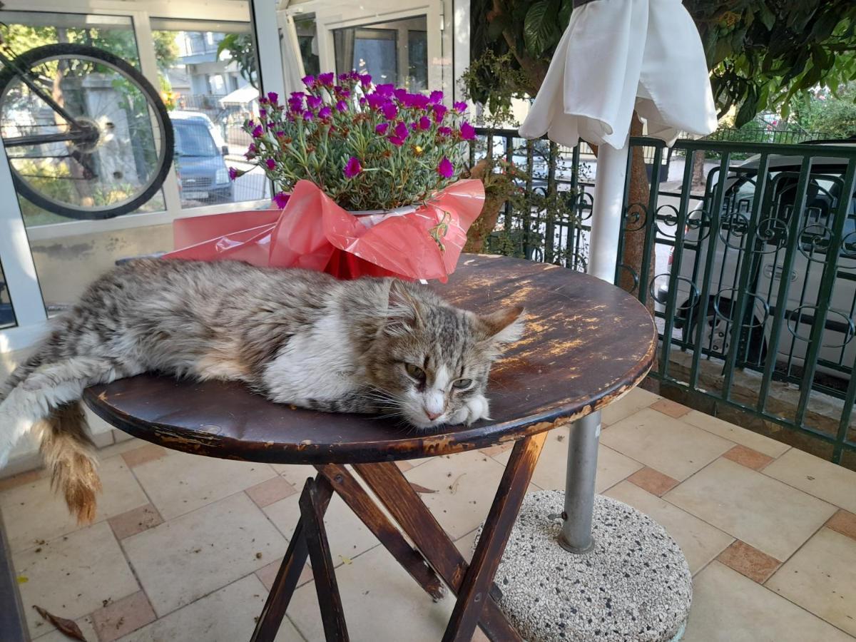 Friendly Philoxenia Daire İskeçe Dış mekan fotoğraf